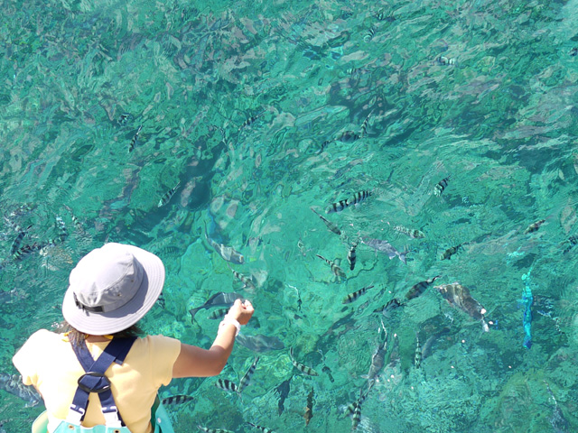 メインビジュアル5