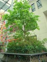 IMGP6735-1