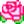KN